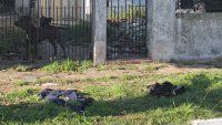 Dos pitbulls desfiguraron a un ladrón