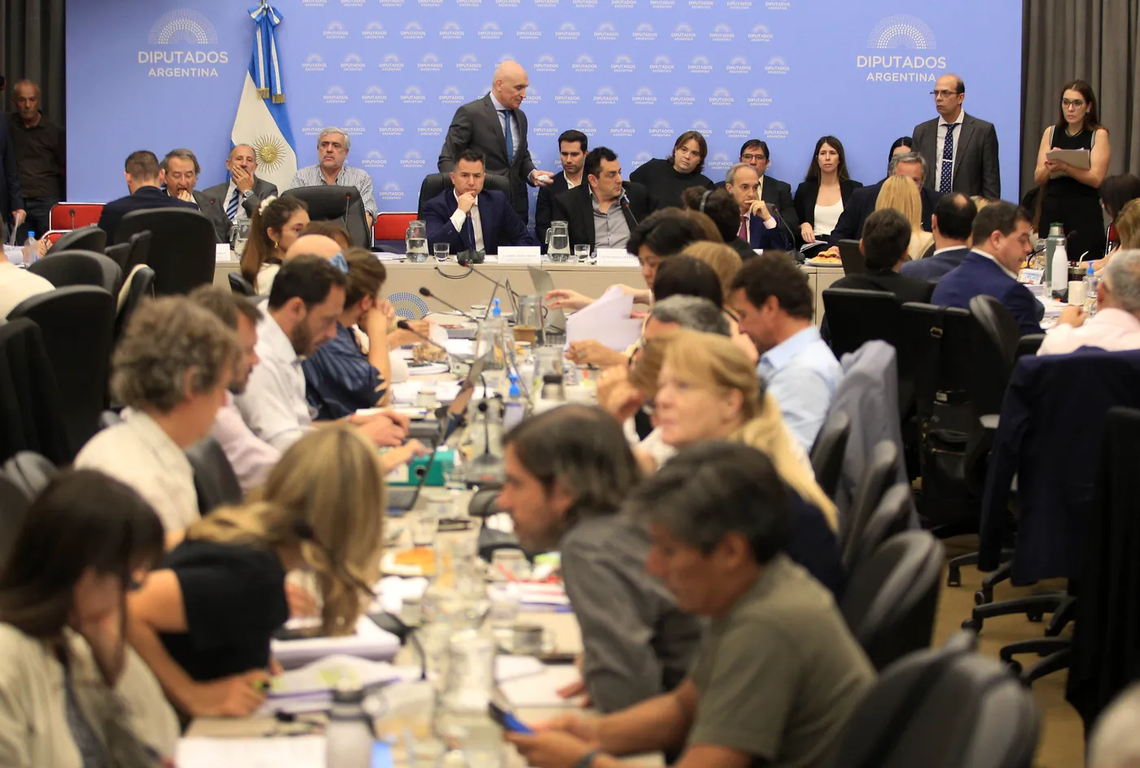 Ley Ómnibus la ONU pidió formar parte del debate en Diputados