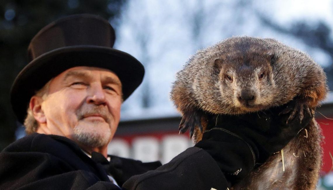 Qué es el Día de la Marmota y por qué se celebra el 2 de febrero