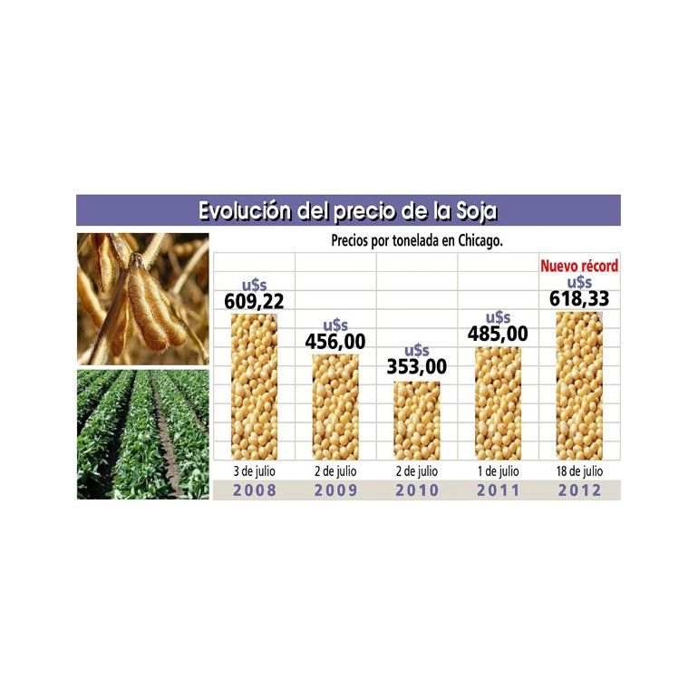 El Precio De La Soja Alcanz Nuevo R Cord U S D Lares