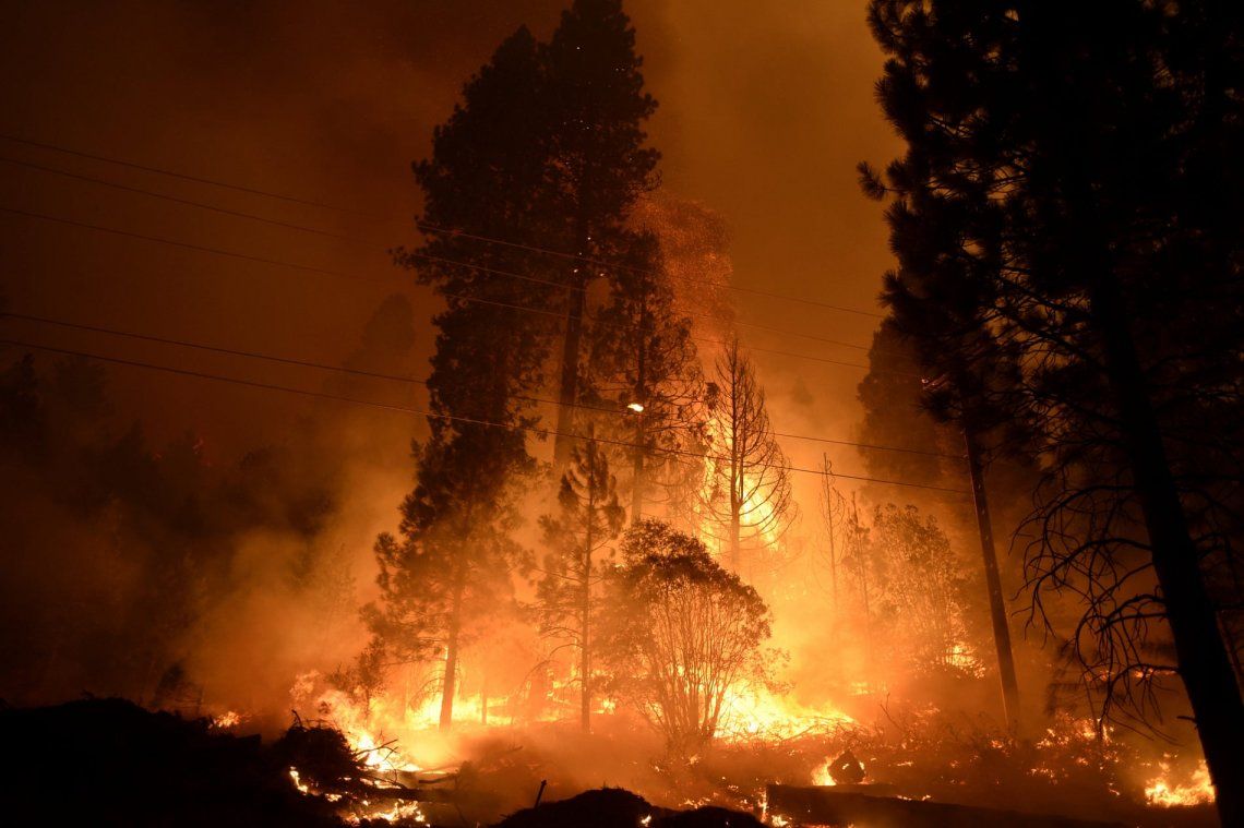 Los Incendios Forestales En California No Dan Tregua