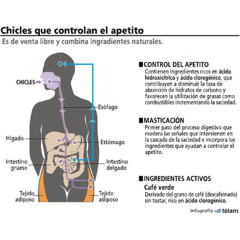 Crisis de ansiedad y perdida de peso