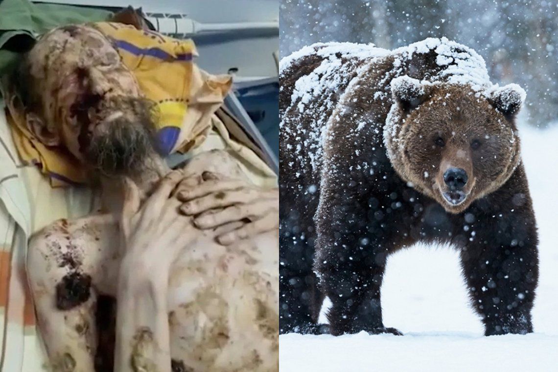 Fake news: el hombre que sobrevivió un mes en la cueva de un oso en Rusia era una historia falsa