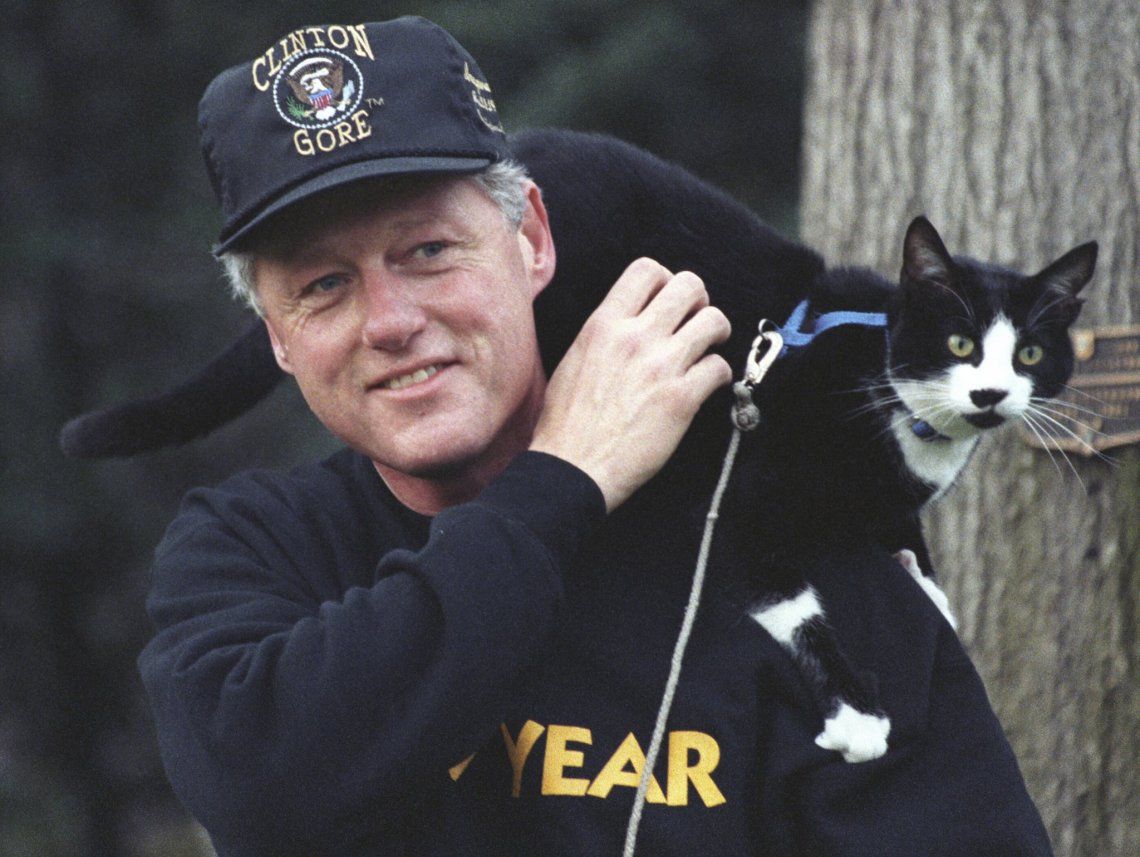 Dia Internacional del Gato en homenaje a la mascota de Bill Clinton 