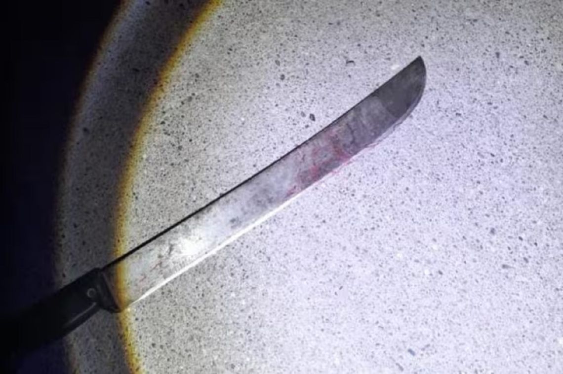 El machete utilizado durante el ataque ocurrido este domingo en Córdoba.