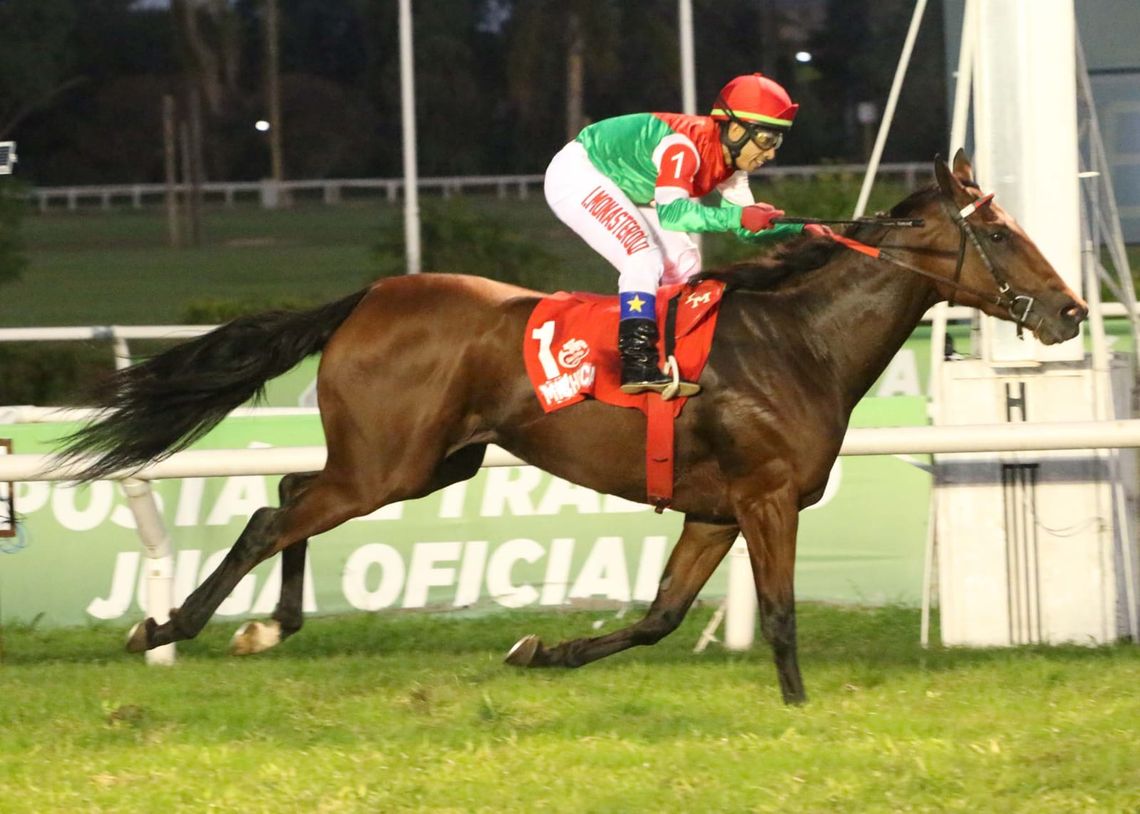 Hipódromo de San Isidro - Michelica - Ganadora Clásico Paseana - Grupo II 