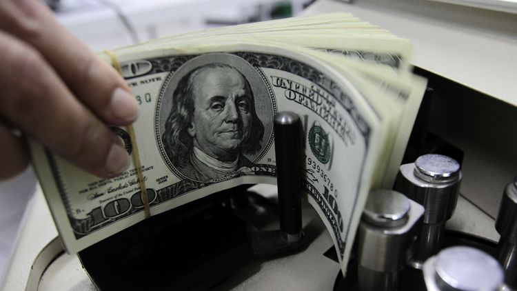 La compra de dólares marcó un nuevo récord desde 2019.