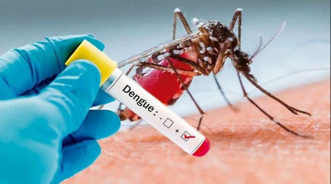 Confirmaron más de 3.400 casos de dengue e n CABA.