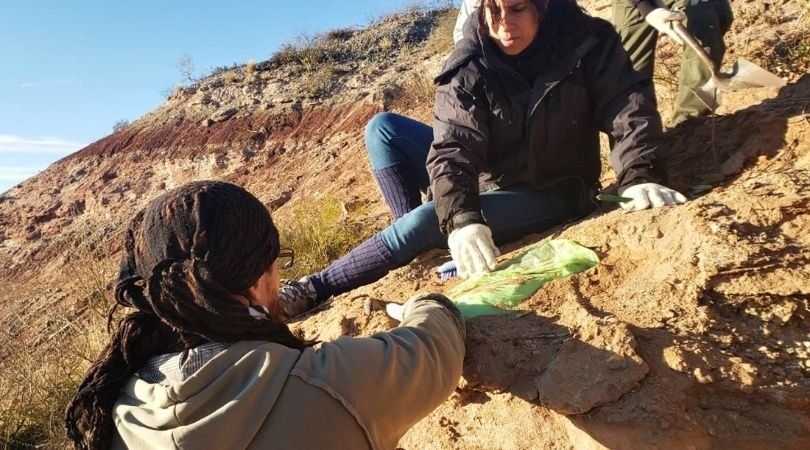 Neuquén: hallaron restos de un dinosaurio en el campus de la Universidad Nacional del Comahue