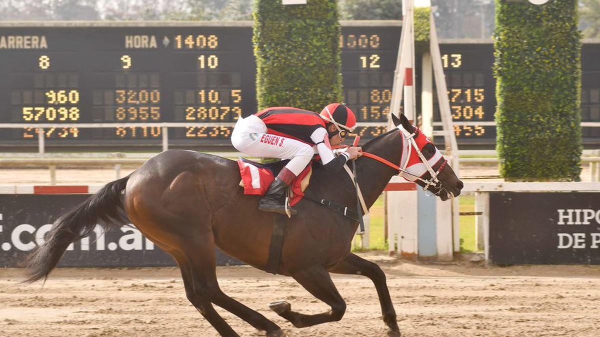 Programa de las carreras de hoy en el Hipódromo de Palermo