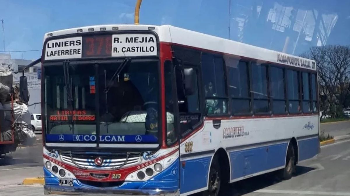 Seis líneas de colectivos de paro por brutal agresión a un chofer