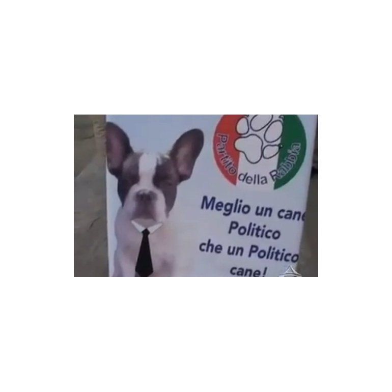 Stefano, el bulldog candidato a alcalde en Italia