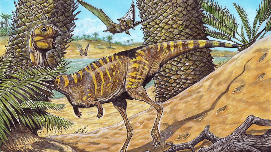 Brasil: descubren una nueva especie de dinosaurio.
