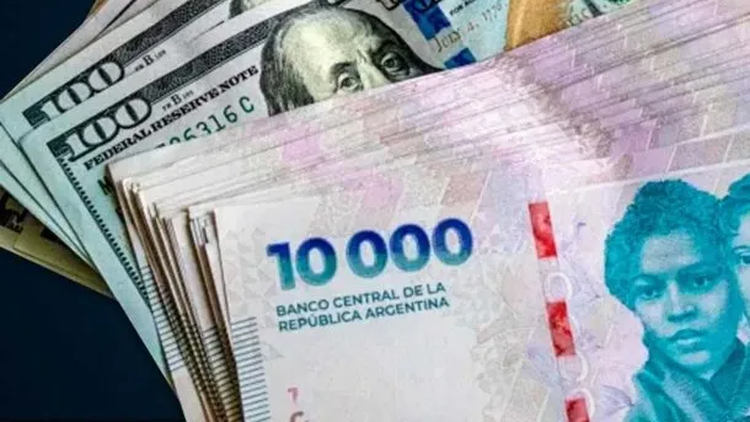 La guía oficial apunta a prevenir estafas y facilitar la detección de billetes falsos.