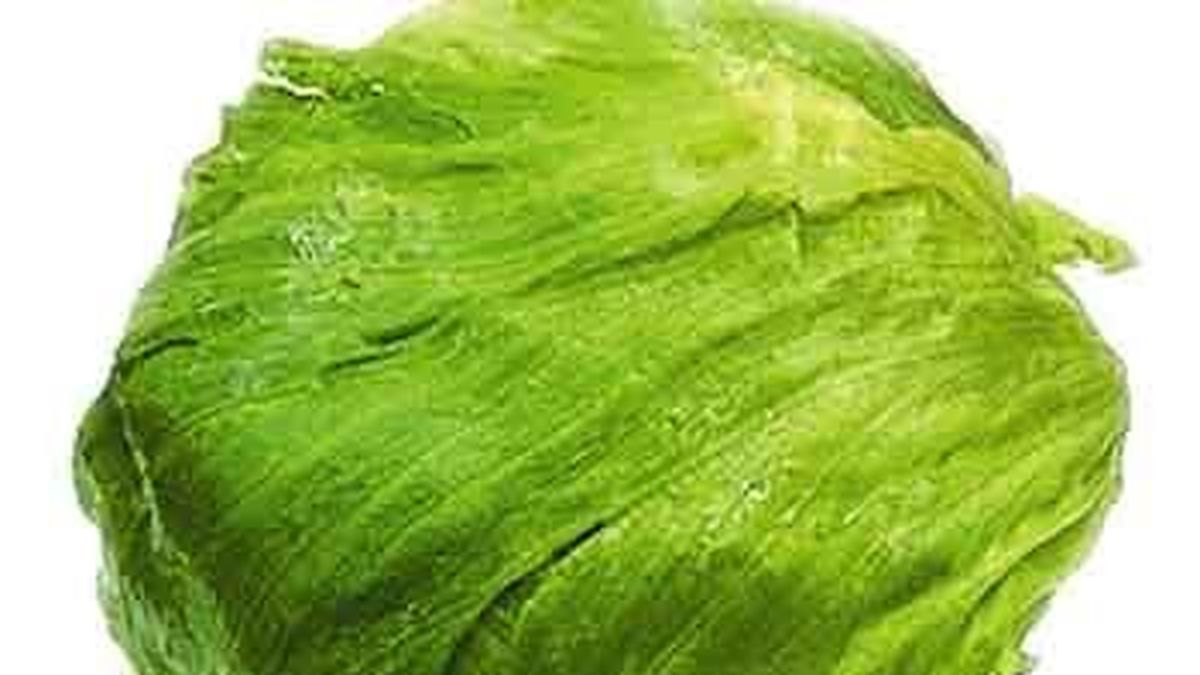 Los secretos de la lechuga