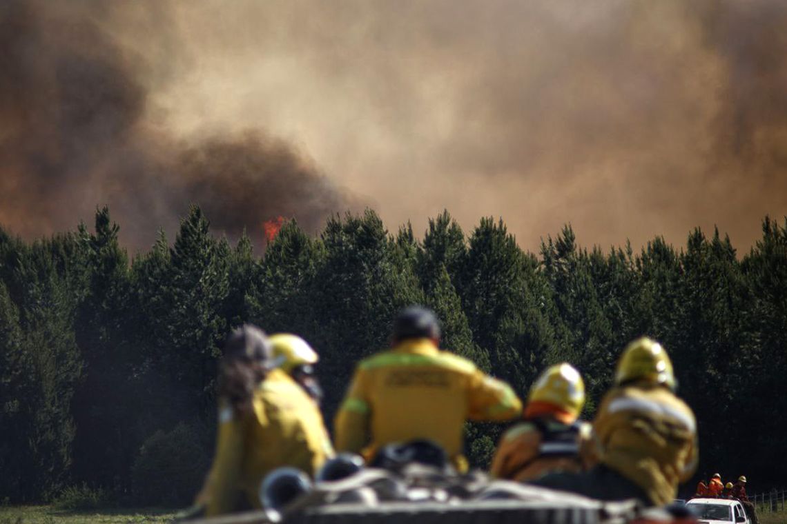 ¿Cuáles son las provincias que sufren incendios forestales?
