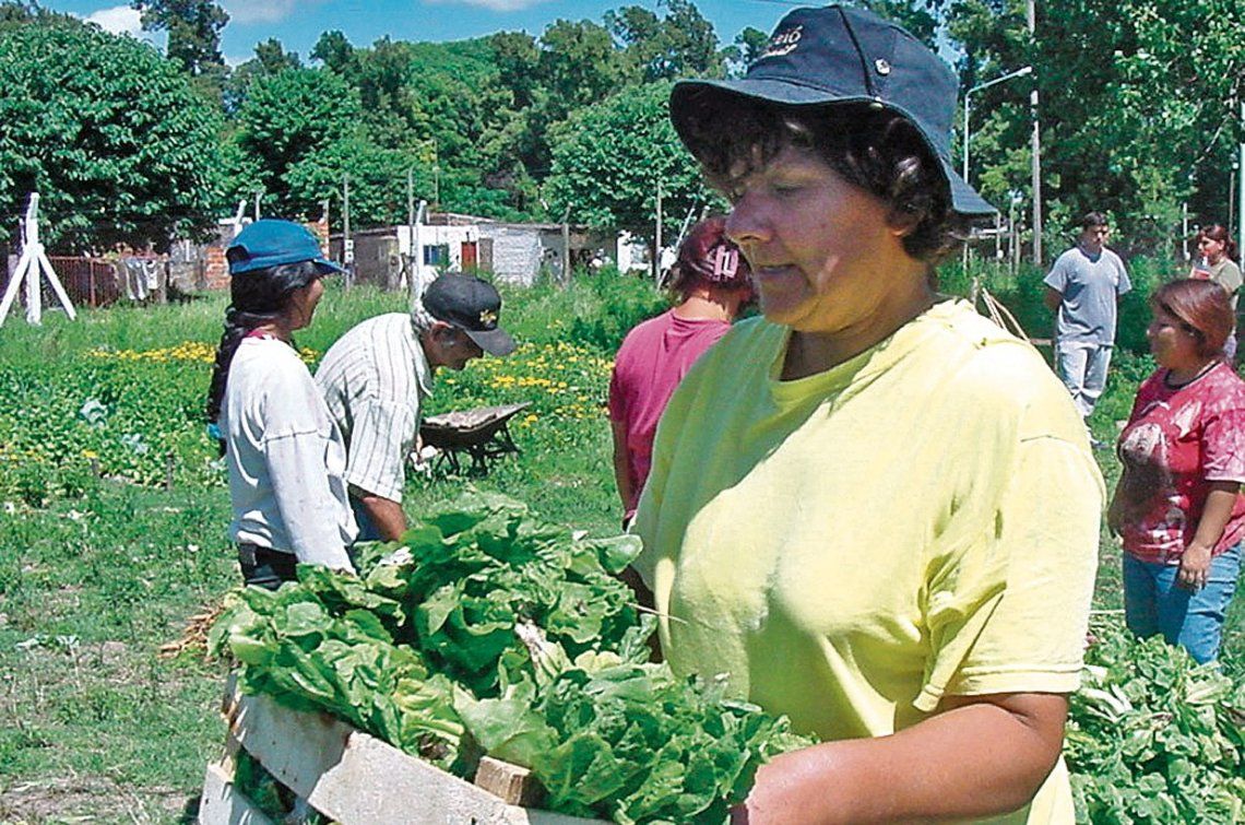 Las cosechas no sólo brindan alimentos sino la satisfacción de haber dado otro paso hacia la autogestión.