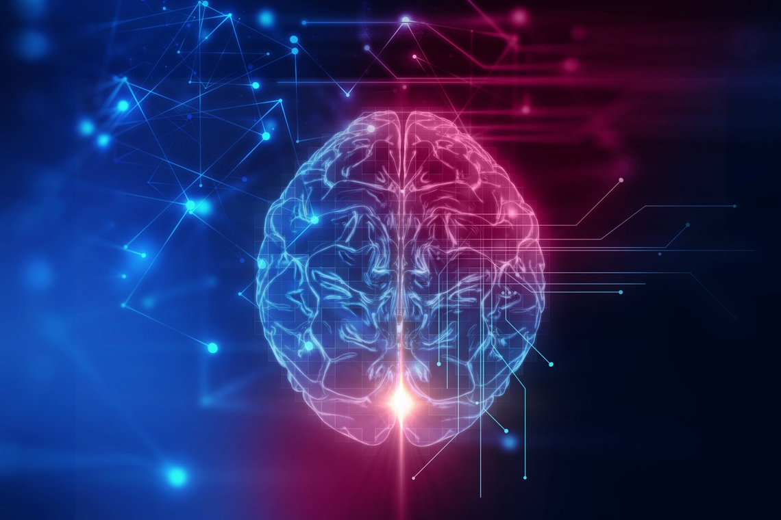 ¿Por qué las neuronas cambian sus circuitos de conexión en distintas áreas del cerebro?