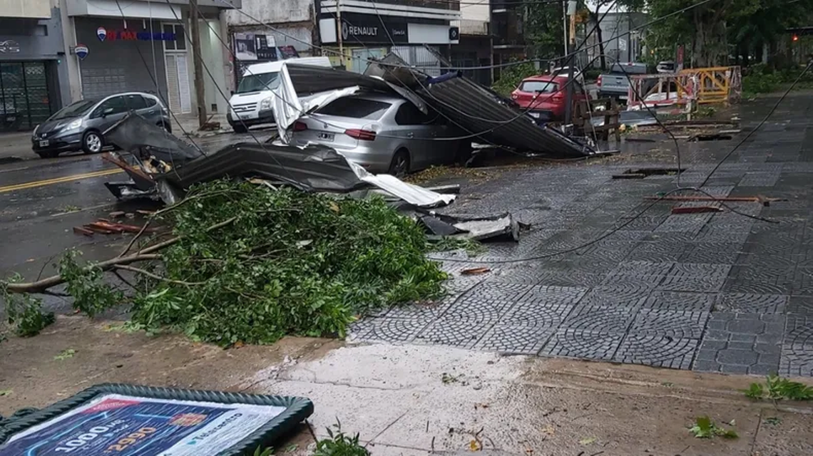 Un informe de una consultara privada asegura que el temporal dejó 12 mil árboles caídos