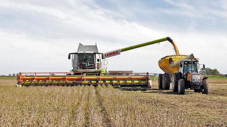 a meta de recaudación por retenciones fijada en el Presupuesto sería inalcanzable, según IDAA.