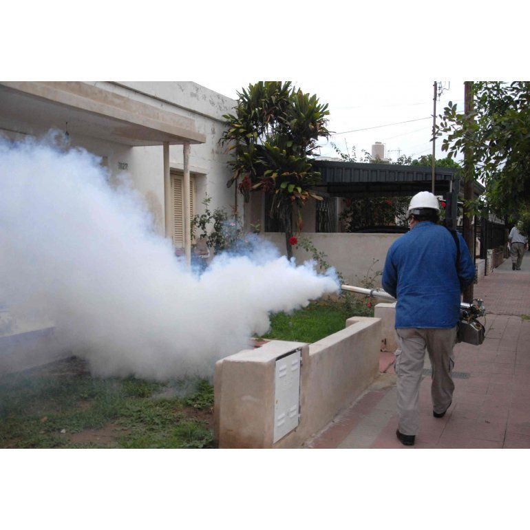 Confirman 2 casos de dengue y otros 7 posibles en Quilmes