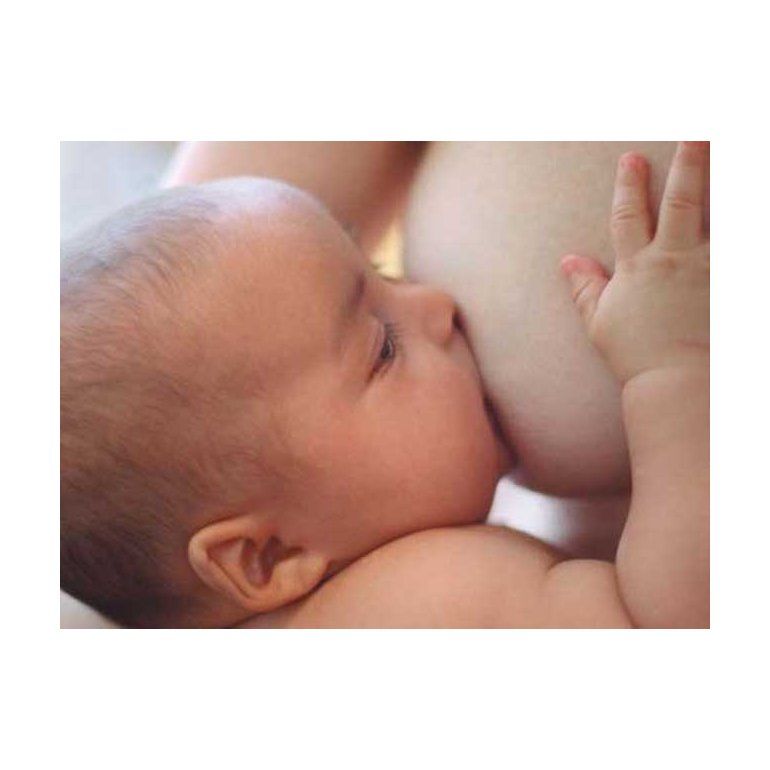 Semana de la Lactancia Materna: 10 razones para amamantar