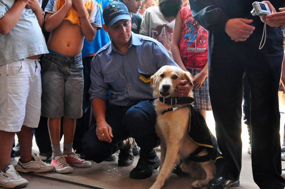 Un policía prohibió el ingreso de perros a las comisarías: lo echaron a él