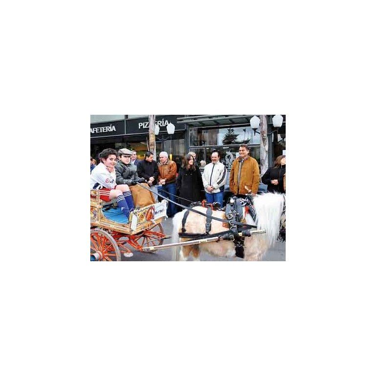 La Asociación de Carreros y Cocheros de la provincia de Buenos Aires desfilaron sus carros tirados por caballos