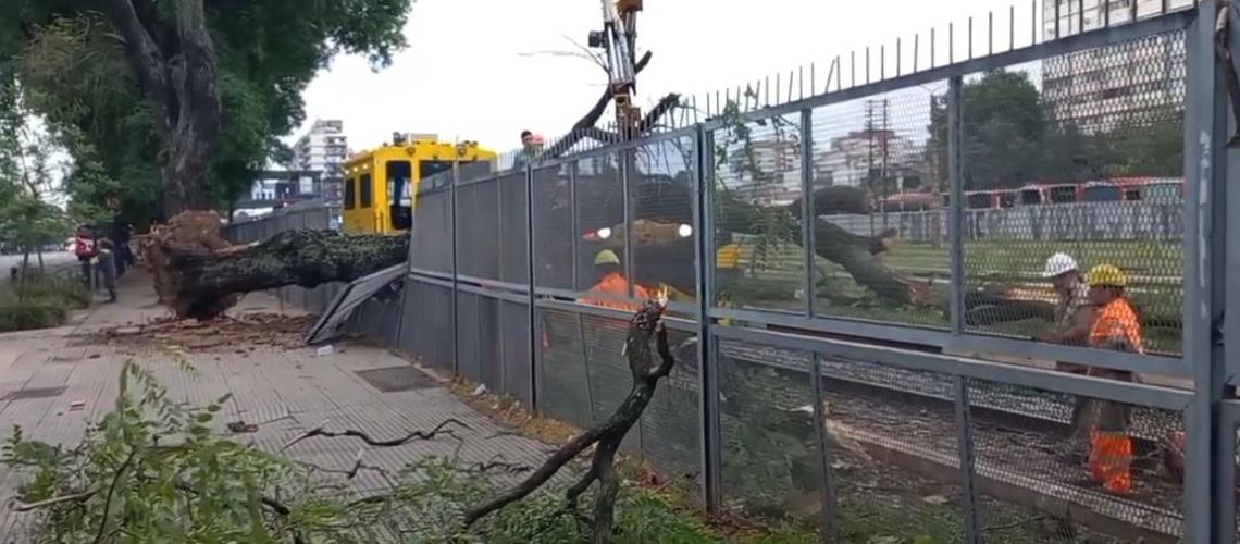 Cayó un árbol en Liniers que afectó  las vías del Tren Sarmiento.
