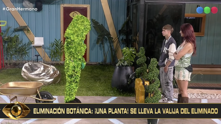 Gran Hermano Generación Dorada: una planta viviente se llevó al nuevo eliminado