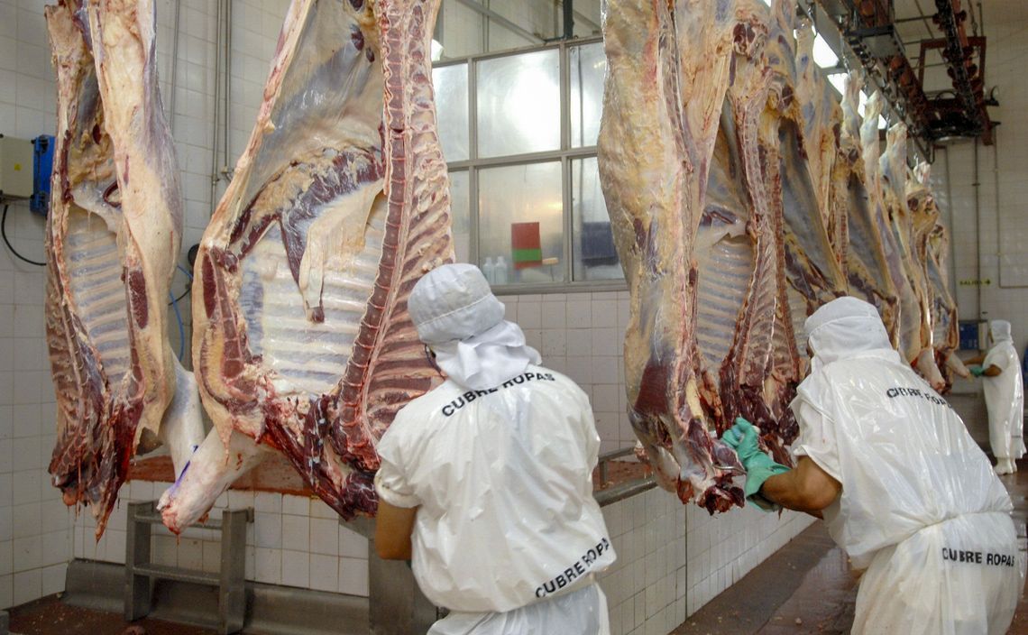 Carne vacuna: medidas para impulsar producción y consumo.