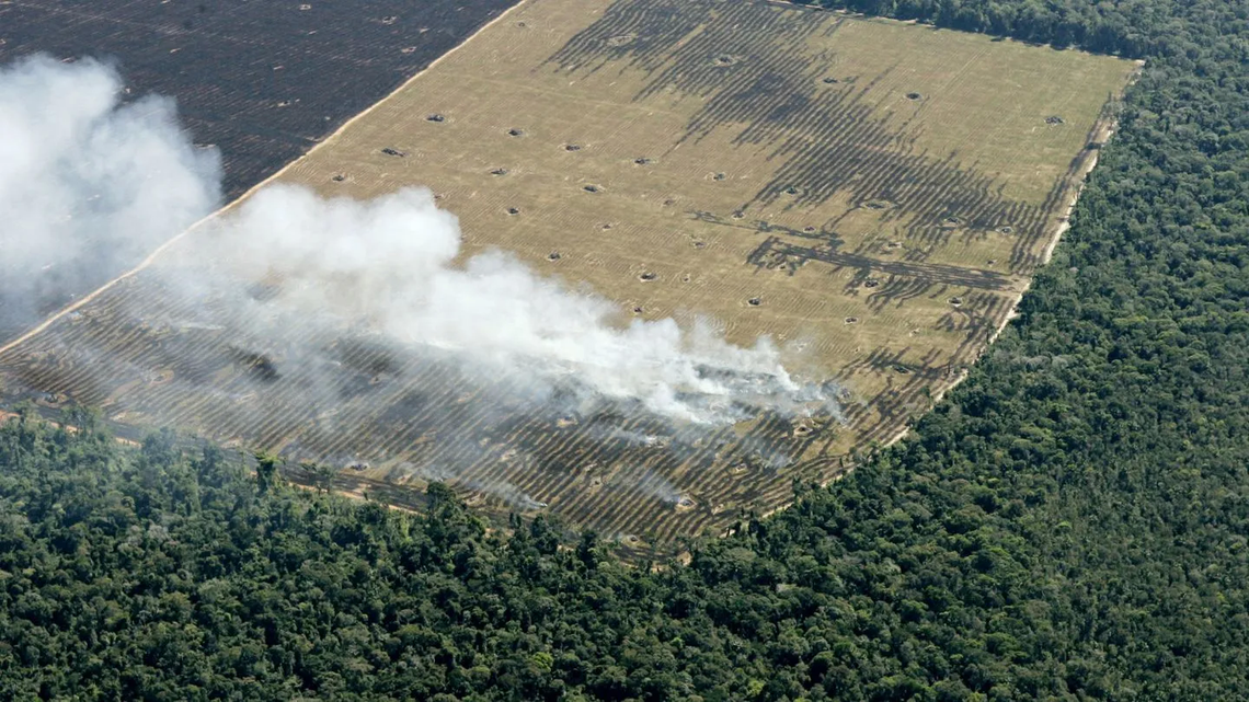 Deforestación de la Amazonía de Brasil fue récord en último año de Bolsonaro.