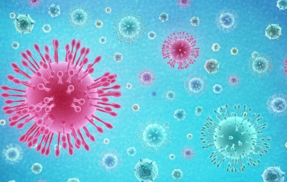 Coronavirus | Cómo funciona la vacuna que ya se prueba en humanos en Estados Unidos