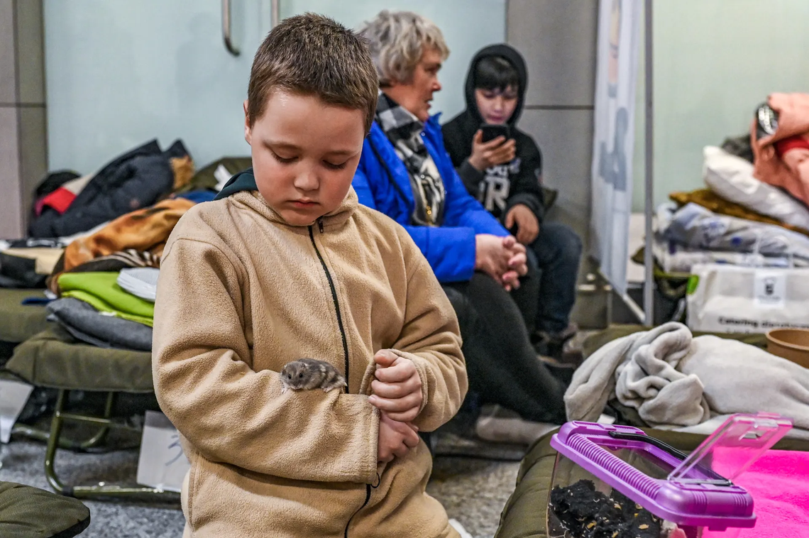 Las mascotas, compañeras de los refugiados de la guerra en Ucrania
