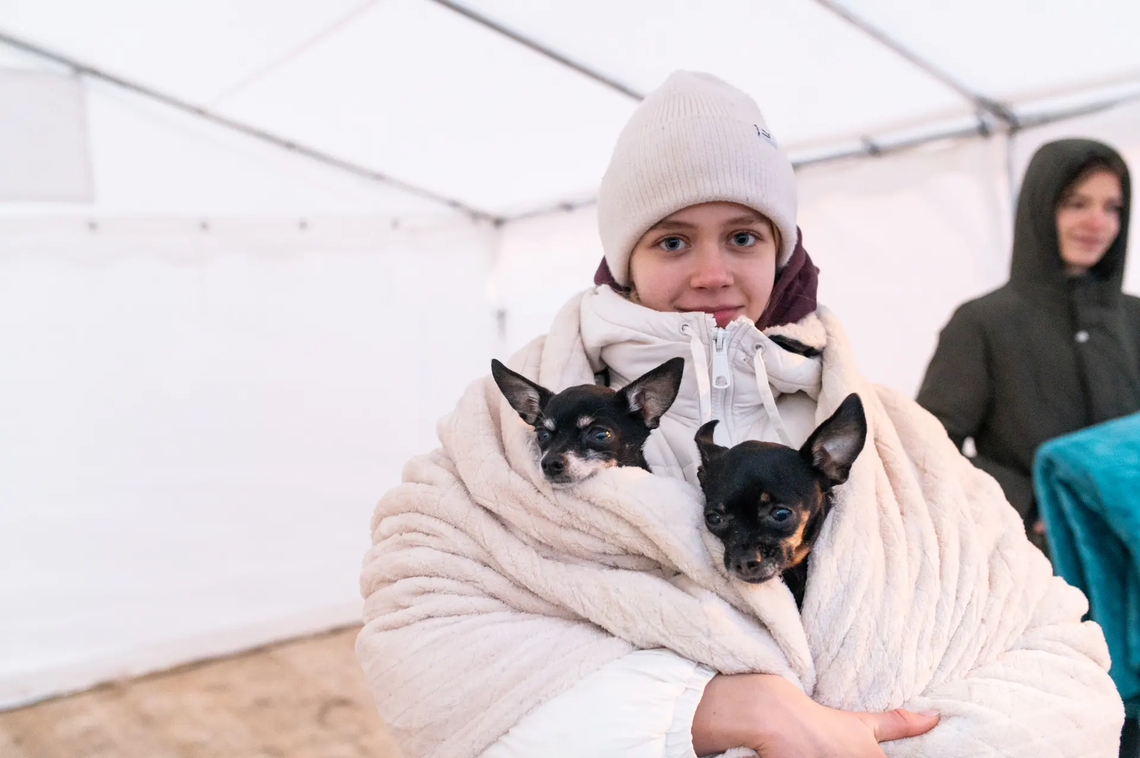 Las mascotas, compañeras de los refugiados de la guerra en Ucrania