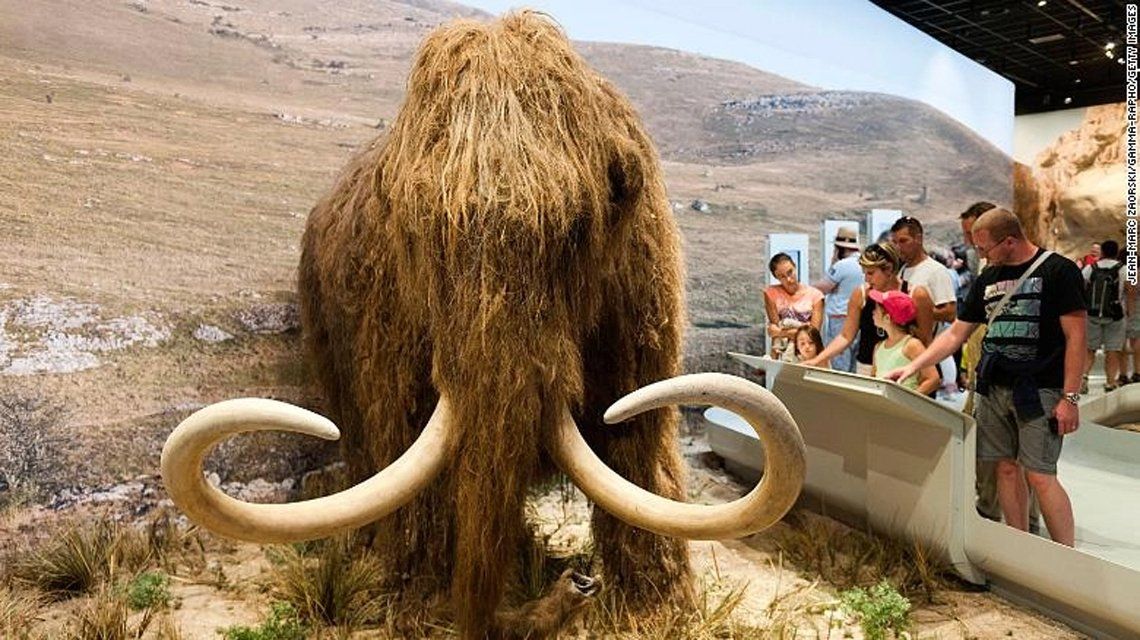 Harvard recauda U$s 15 millones para revivir al mamut lanudo