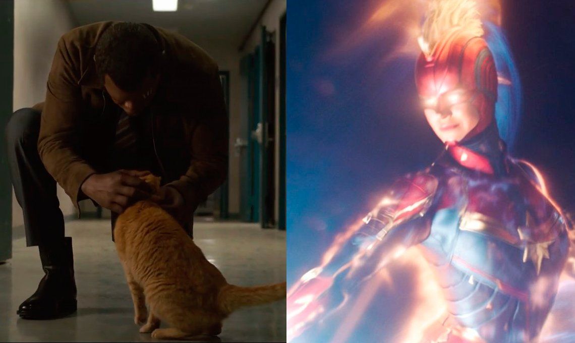 Capitana Marvel: ¿un gatito le sacó un ojo a Nick Fury?