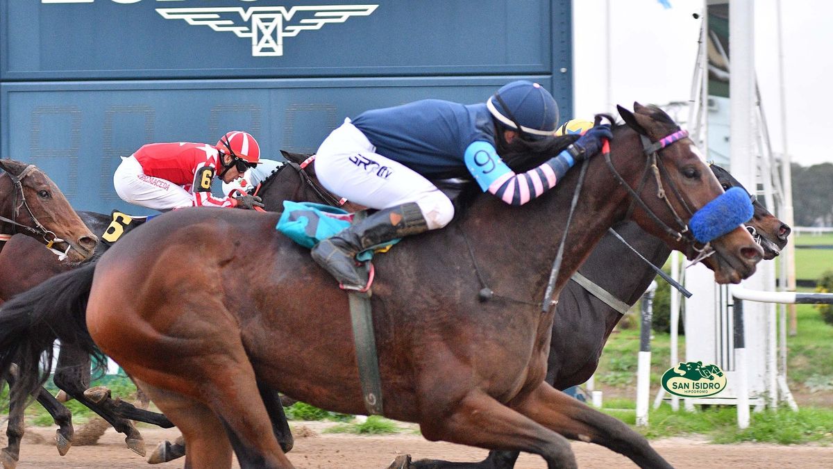 Programa de las carreras de hoy en el Hipódromo de San Isidro