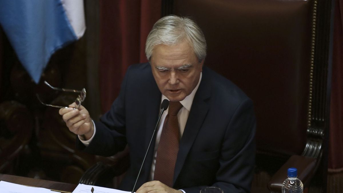 Pinedo La educación en la Argentina es una catástrofe