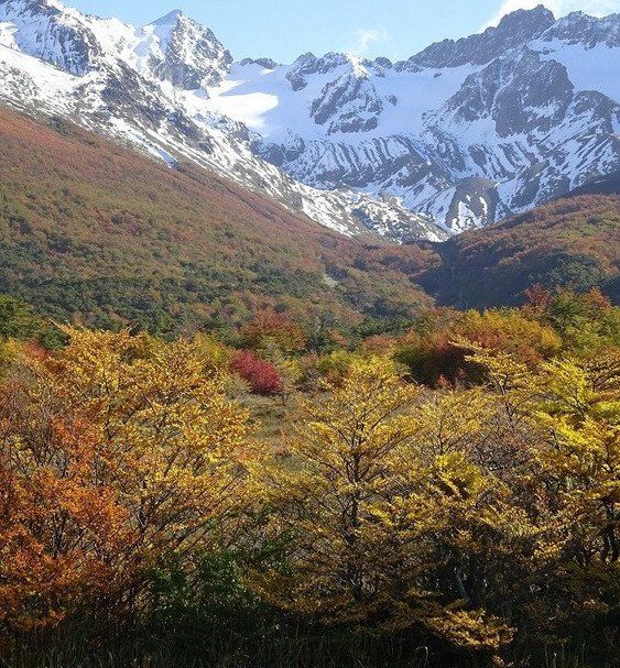 El paisaje se tiñe de colores del fuego gracias a los cambios de follaje.
