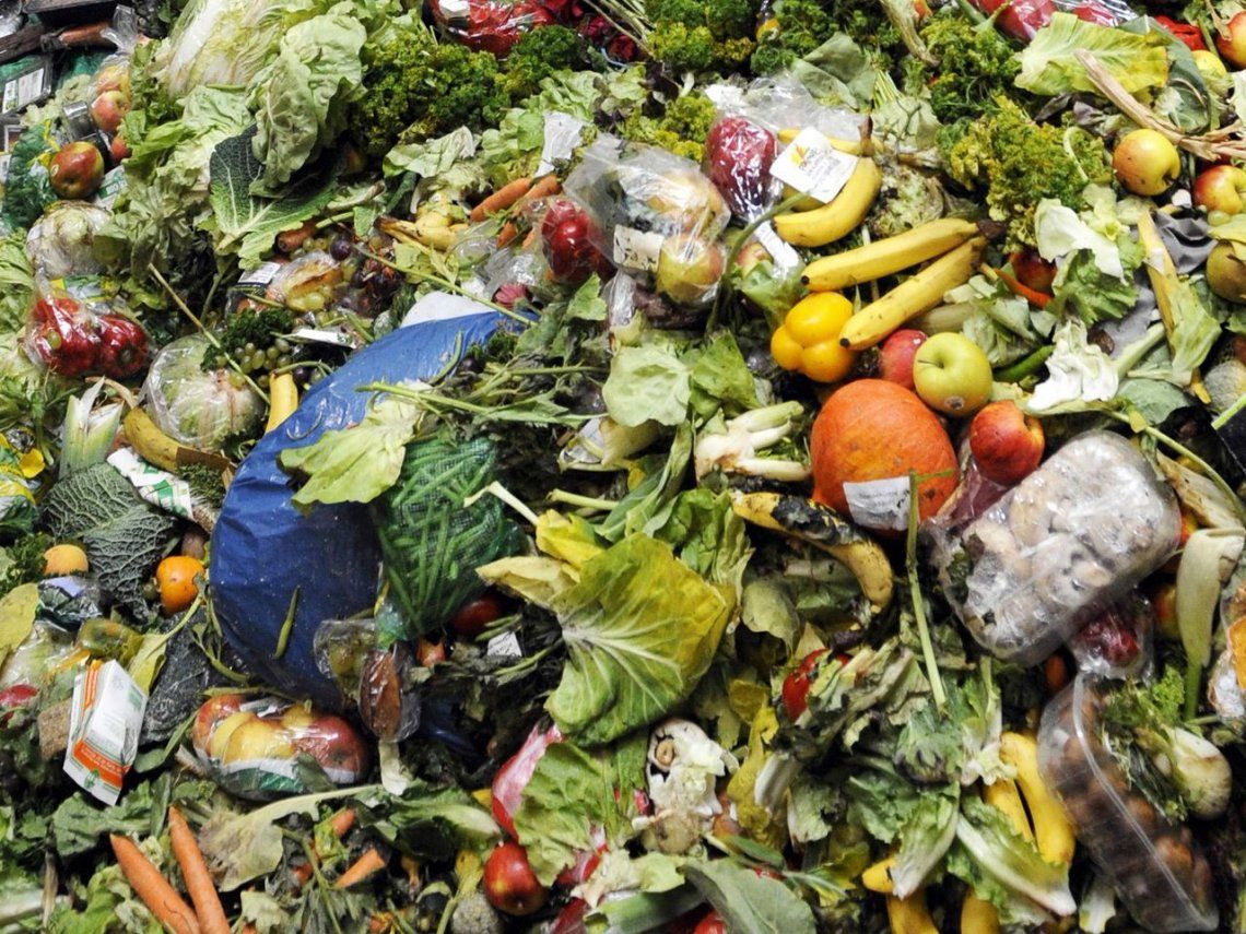 Preocupante: mirá la cantidad de comida que desperdiciamos por día