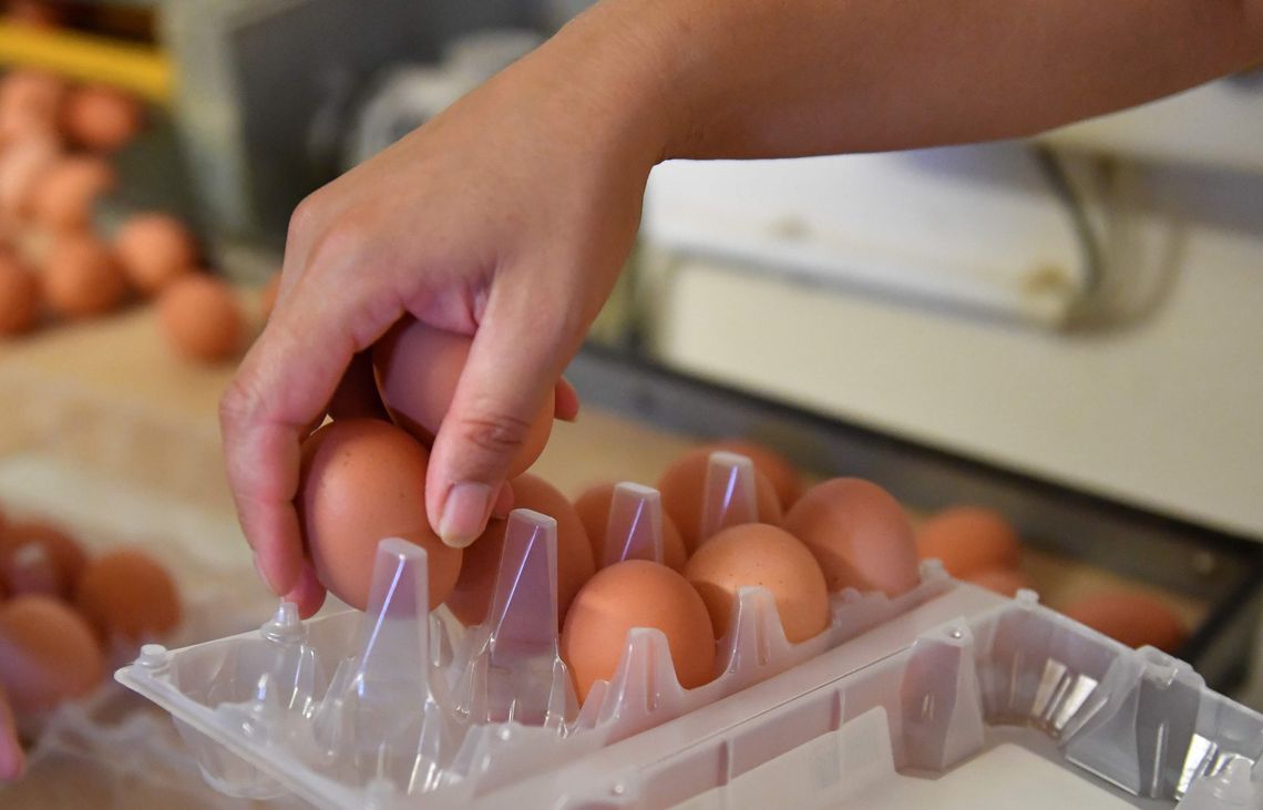 En la medici&oacute;n mensual, los productos l&aacute;cteos y huevos lideraron los aumentos con un 5,4%.