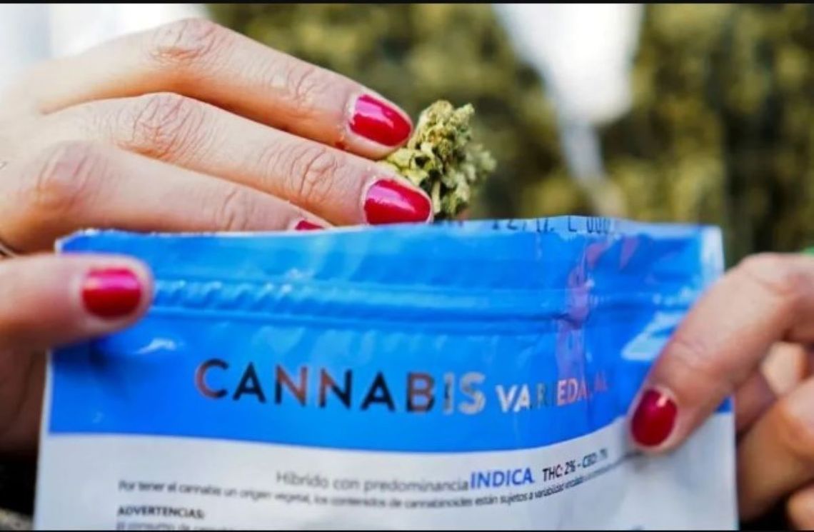En Uruguay autorizan la venta de cannabis más potente