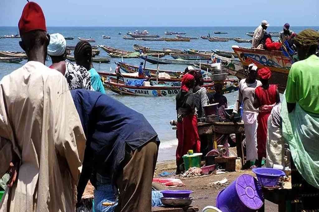 Pescadores de Senegal se contagiaron una enfermedad desconocida.