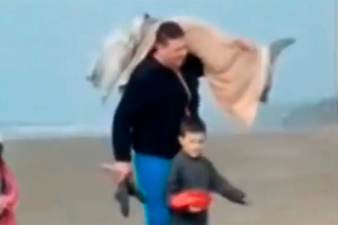 Repudian accionar de un hombre que se llevó un delfín en peligro de extinción de la playa.