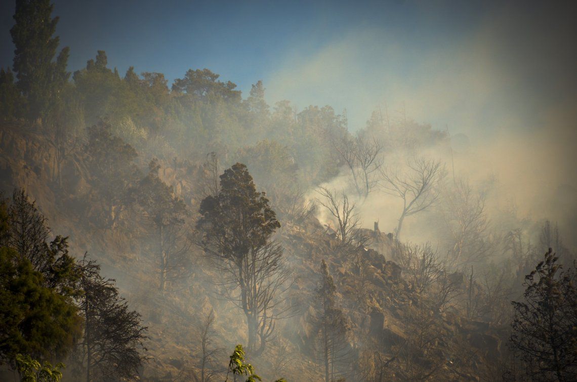 Los incendios forestales afectan a más de 25.000 hectáreas en El Bolsón.