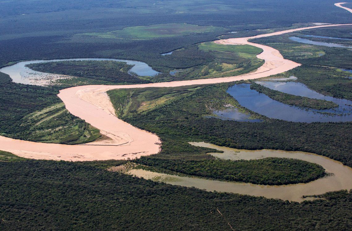 Chaco: la nutria gigante habita en grandes ríos y humedales 