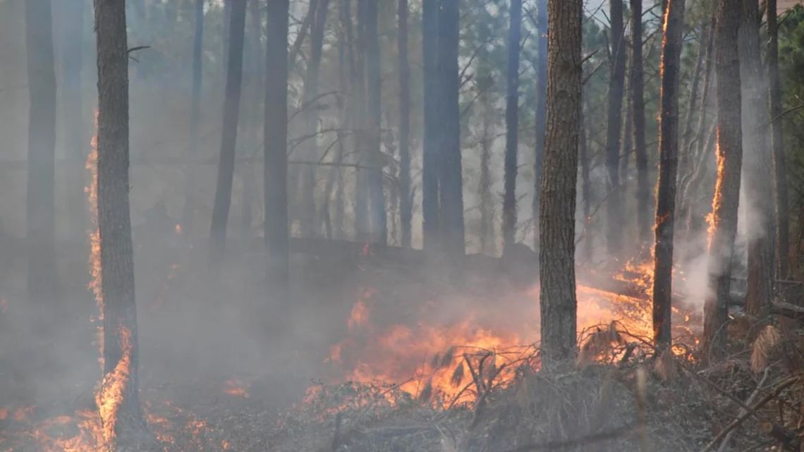 Incendios En Córdoba Hay Cinco Focos Activos Y Familias Evacuadas 7241