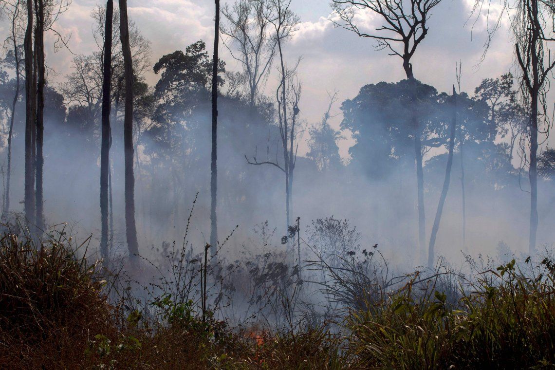 Alerta amarilla, vacunas y atrasos en el viaje: cómo se preparan los bomberos argentinos que combatirán el fuego en Amazonas