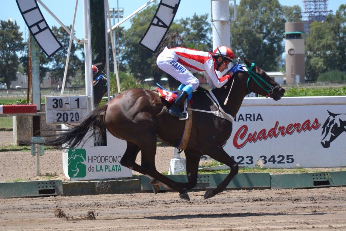 Hipódromo de La Plata.